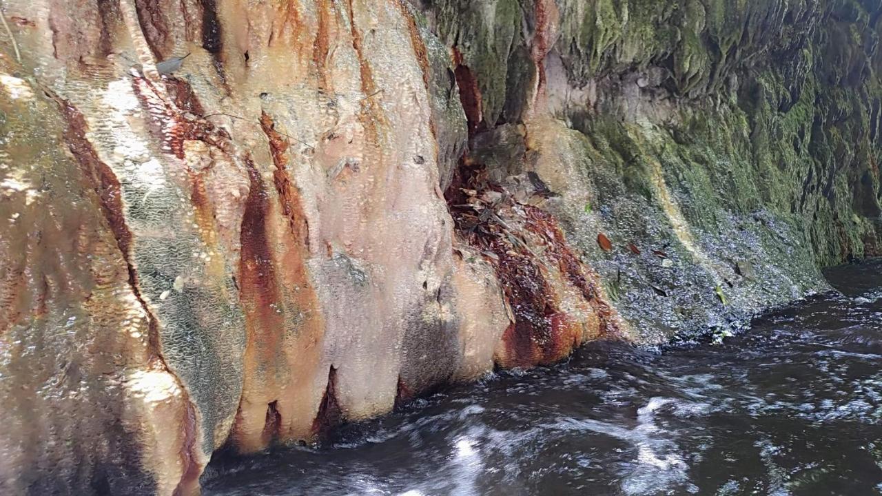 森之秘湯 Mhuwe Hotspring Apartman Zsenaj Kültér fotó